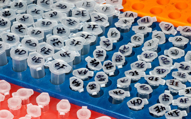 医药冷链国际物流